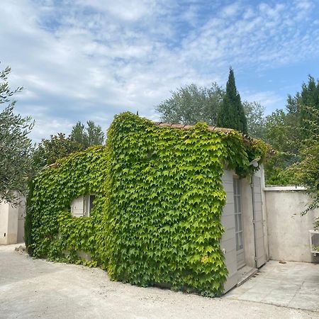 Le Mas Du Chemin : Mas Typique Des Alpilles Параду Экстерьер фото